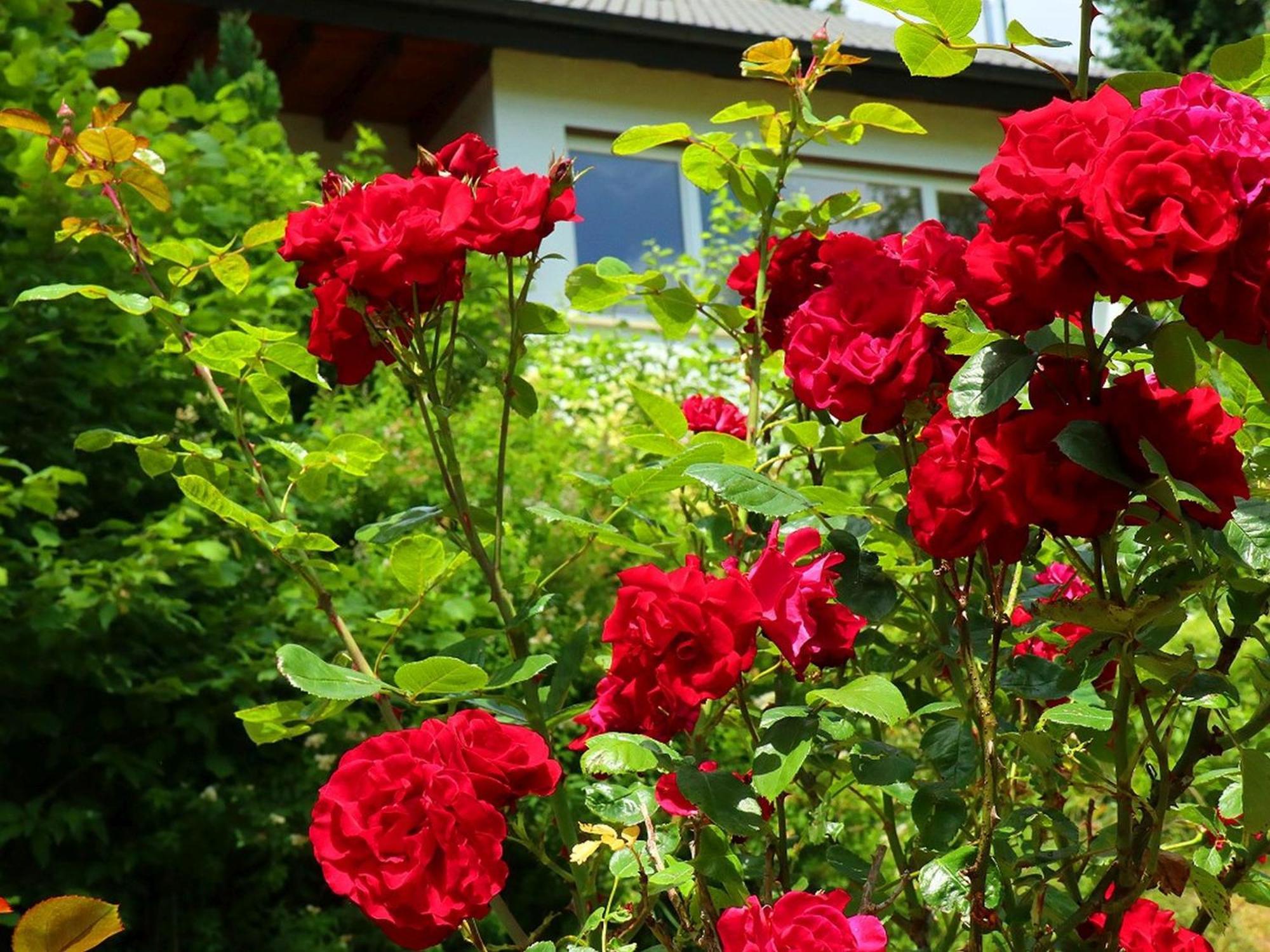 Ferienwohnung Jachmann, 80Qm Schönwalde 外观 照片