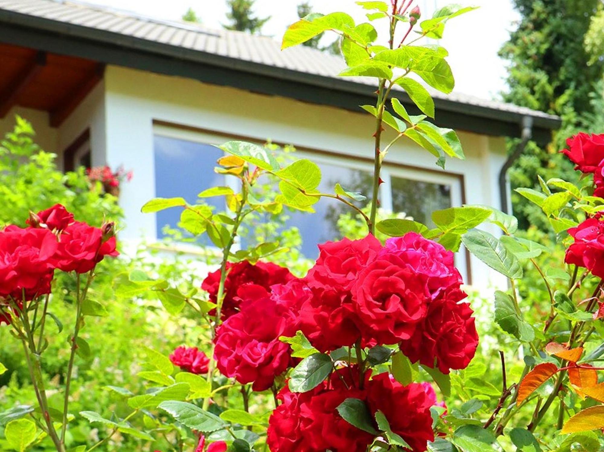 Ferienwohnung Jachmann, 80Qm Schönwalde 外观 照片